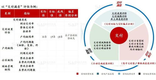 交付评估是什么意思？