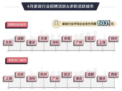 家z属于什么职业类别？