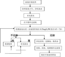 泳池管理叫什么？